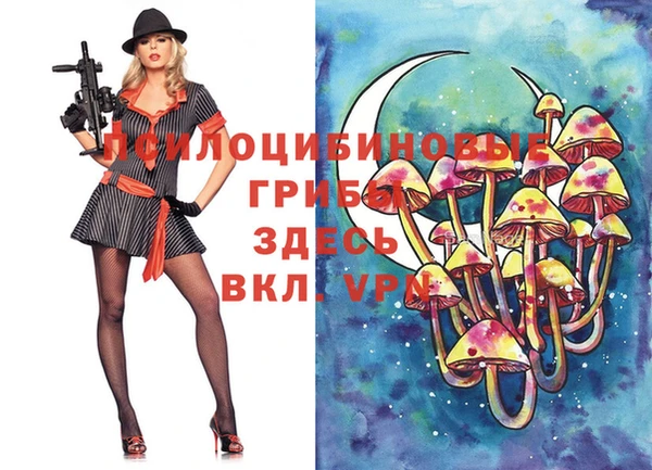 mdpv Белокуриха